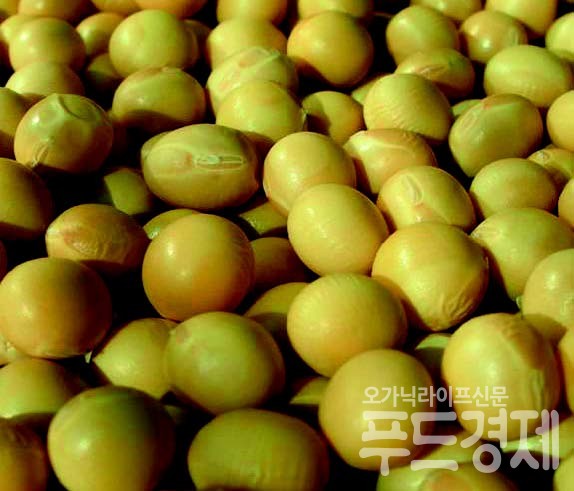 우리 콩의 가치
