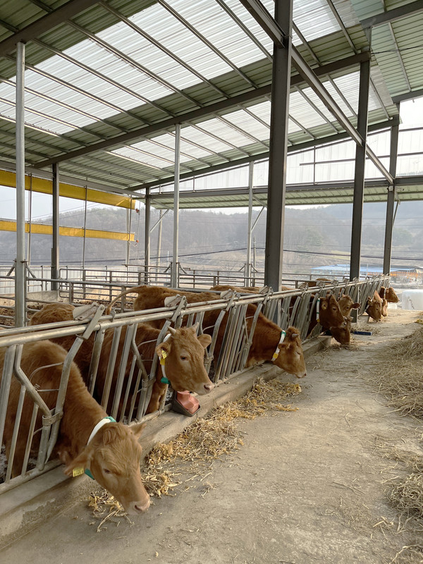 축사내부(천정)