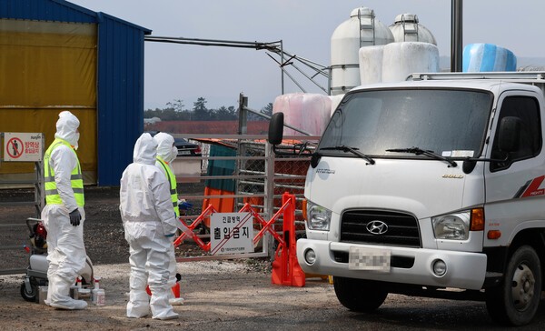 18일 구제역이 발생한 전남 영암군 한 한우농장 앞에서 방역당국 관계자들이 움직이고 있다. [사진=연합]