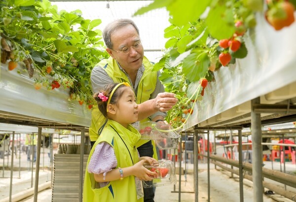 NH농협금융은 27일, 이찬우 회장과 농협금융 가족봉사단이 경기도 파주시에서 농촌 수확체험과 플로깅을 실시했다고 밝혔다. [사진=NH농협금융]