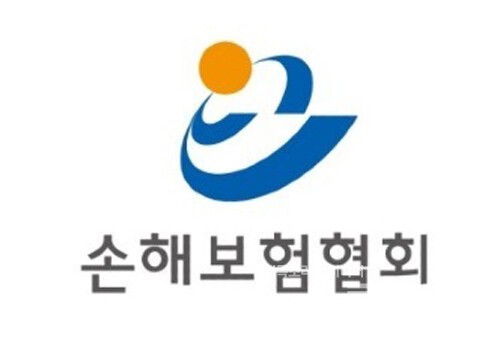 손해보험협회 CI