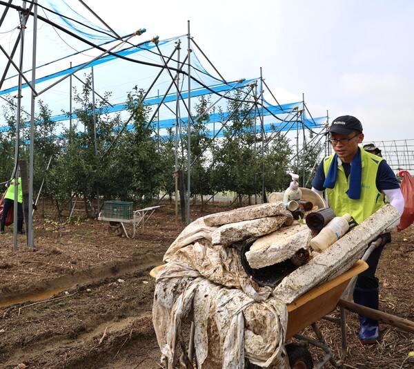 NH농협생명은 지난 23일 집중호우로 피해를 본 충남 아산시를 찾아 수해복구를 위한 일손 돕기 활동을 펼쳤다고 24일 밝혔다. 이날 농협생명 임직원 30여명은 침수 피해를 본 과수농가를 방문해 과수원 내 토사를 정리하고, 피해 낙과를 수거하는 등 복구 작업에 구슬땀을 흘렸다. 충남 지역은 이번 집중호우로 인해 많은 농가가 농작물 침수·낙과 등 심각한 피해를 본 상황이다.[사진=NH농협생명 제공]
