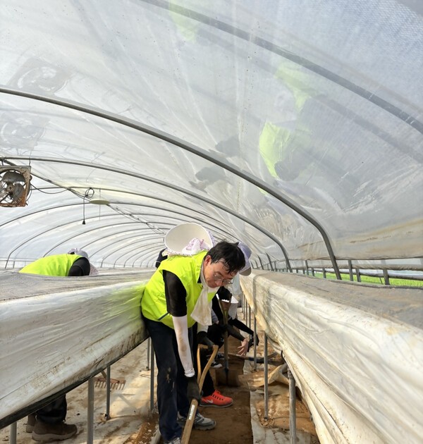 NH농협은행 준법감시부문 이재홍 준법감시인과 임직원들은 지난 30일, 최근 호우 피해를 입은 충남 홍성군 갈산면 소재 농가를 찾아 일손돕기를 실시했다. [사진=NH농협은행]