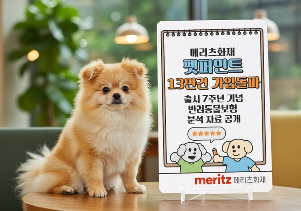 출처=메리츠화재