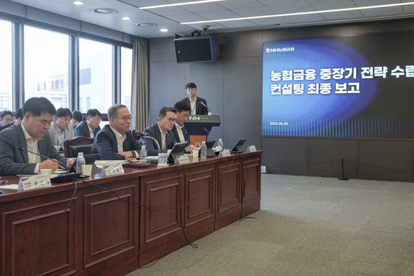 지난달 29일 개최된 '농협금융 중장기 전략 수립' 컨설팅 최종 보고회에서 이찬우 NH농협금융지주 회장이 생산적금융의 중요성을 강조하고 있다. [사진=NH농협금융지주]