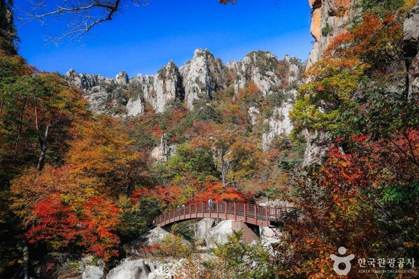 속초 가볼만한곳, 바다와 단풍이 어우러진 가을 명소 - 뉴스 썸네일 이미지