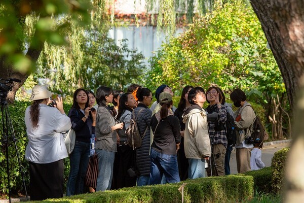 [사진=영등포문화재단]