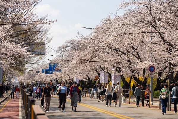 [사진=영등포문화재단]