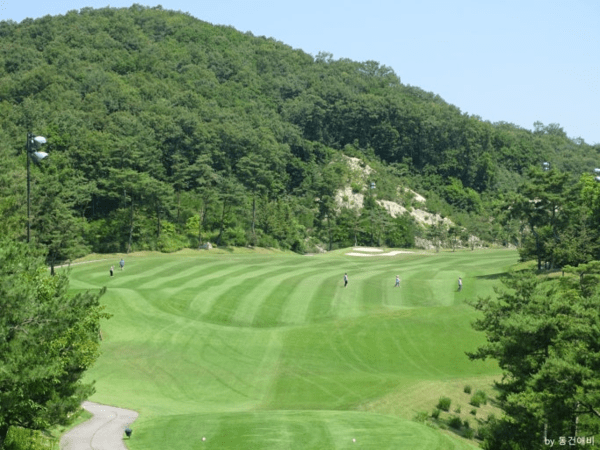 원주 벨라스톤 컨트리클럽