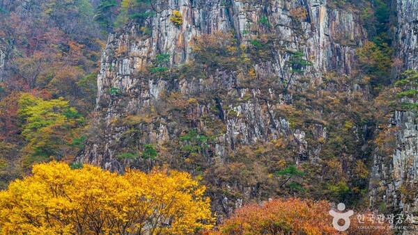 괴산 가볼 만한 곳, 가을 숲의 고요함과 물속 세상의 신비 - 뉴스 썸네일 이미지