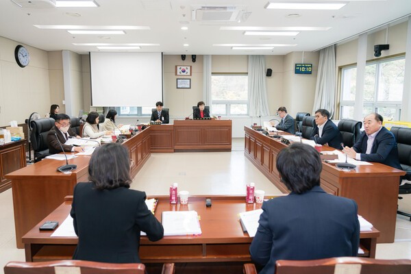 용인특례시의회 문화복지위원회는 17일 교육청소년과, 평생교육과, 청년정책과, 여성가족과에 대한 행정사무감사를 했다. [사진=용인특례시의회]