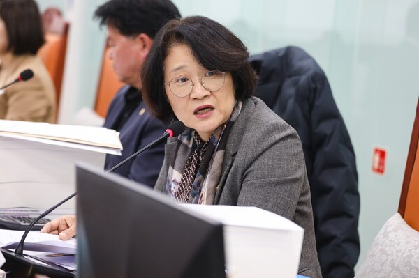 신미숙 경기도의회 교육기획위원회 의원은 17일 경기도교육청 행정사무감사에서 "경기교육 디지털플렛폼 구축 사업의 성과와 검증체계가 미흡하다"며, 구체적인 추진 로드맵 공개를 요구했다. [사진=경기도의회]
