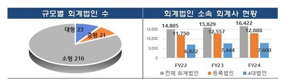자료=금융감독원 제공