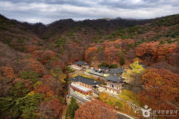 경북 경산시 가볼 만한 곳, 고즈넉한 겨울 풍경이 펼쳐지는 호수와 산사