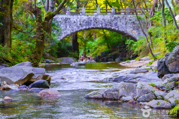 아산 가볼 만한 곳, 자연과 맛을 찾아 떠나는 여행 - 뉴스 썸네일 이미지