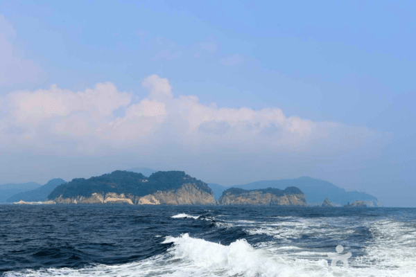 거제 가볼 만한 곳, 신선한 해산물과 다채로운 체험의 조화 - 뉴스 썸네일 이미지