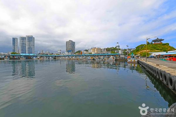 속초 가볼 만한 곳, 겨울 바다의 풍경과 미식의 향연 - 뉴스 썸네일 이미지