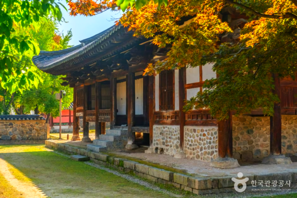 충주 가볼 만한 곳, 고즈넉한 겨울 풍경이 있는 문화유산 기행 - 뉴스 썸네일 이미지