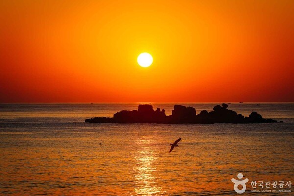 2026 해맞이 강원도 해돋이 명소로 떠나는 일출 여행 - 뉴스 썸네일 이미지