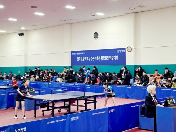 삼성생명 왕중왕전 관련 보도 이미지