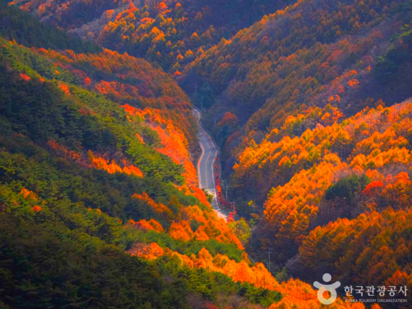 대구 가볼 만한 곳, 겨울 풍경 속 자연과 문화의 조화 - 뉴스 썸네일 이미지