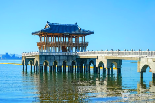 포항 명소, 겨울 바다가 전하는 평화로운 이야기 - 뉴스 썸네일 이미지