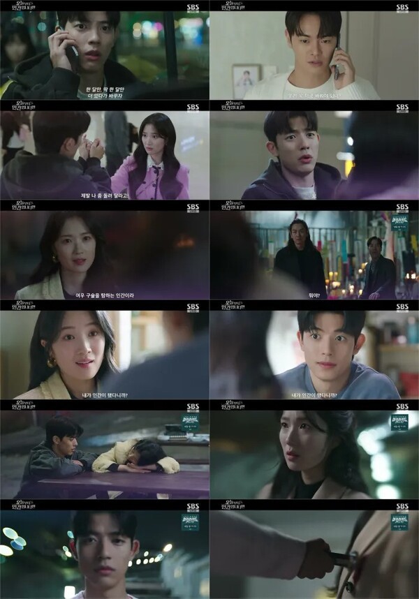 오늘부터 인간입니다만 관련 기사 이미지