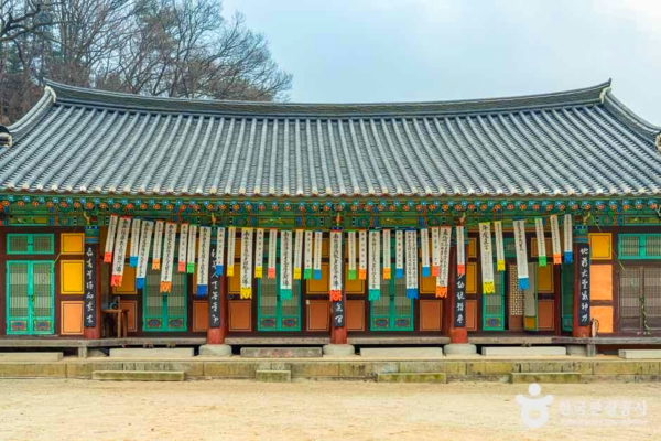 안성 가볼 만한 곳, 고요한 자연 속에서 찾는 봄날의 휴식