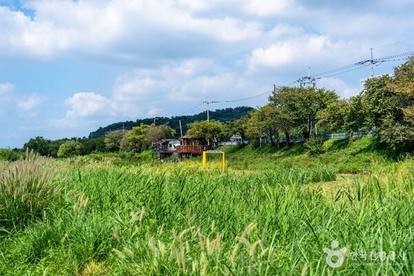 성남, 푸른 여름날 자연과 배움을 만나는 가볼 만한 곳 - 뉴스 썸네일 이미지
