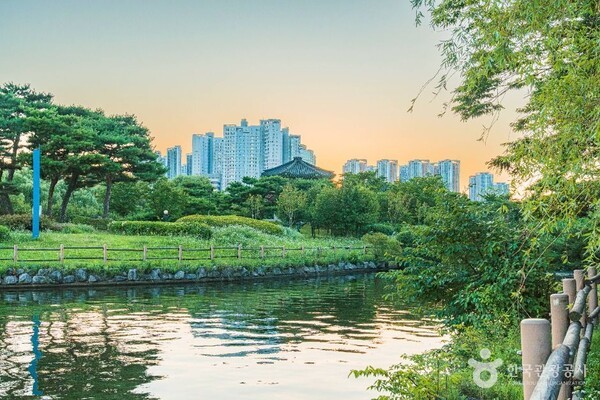 고양의 여름 이야기, 푸른 호수와 흥미로운 박물관 기행 - 뉴스 썸네일 이미지